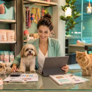 Guia completo de Contabilidade para PetShop