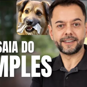 Menor imposto para Pet Shop: como voltar para o Simples Nacional se foi desenquadrado!