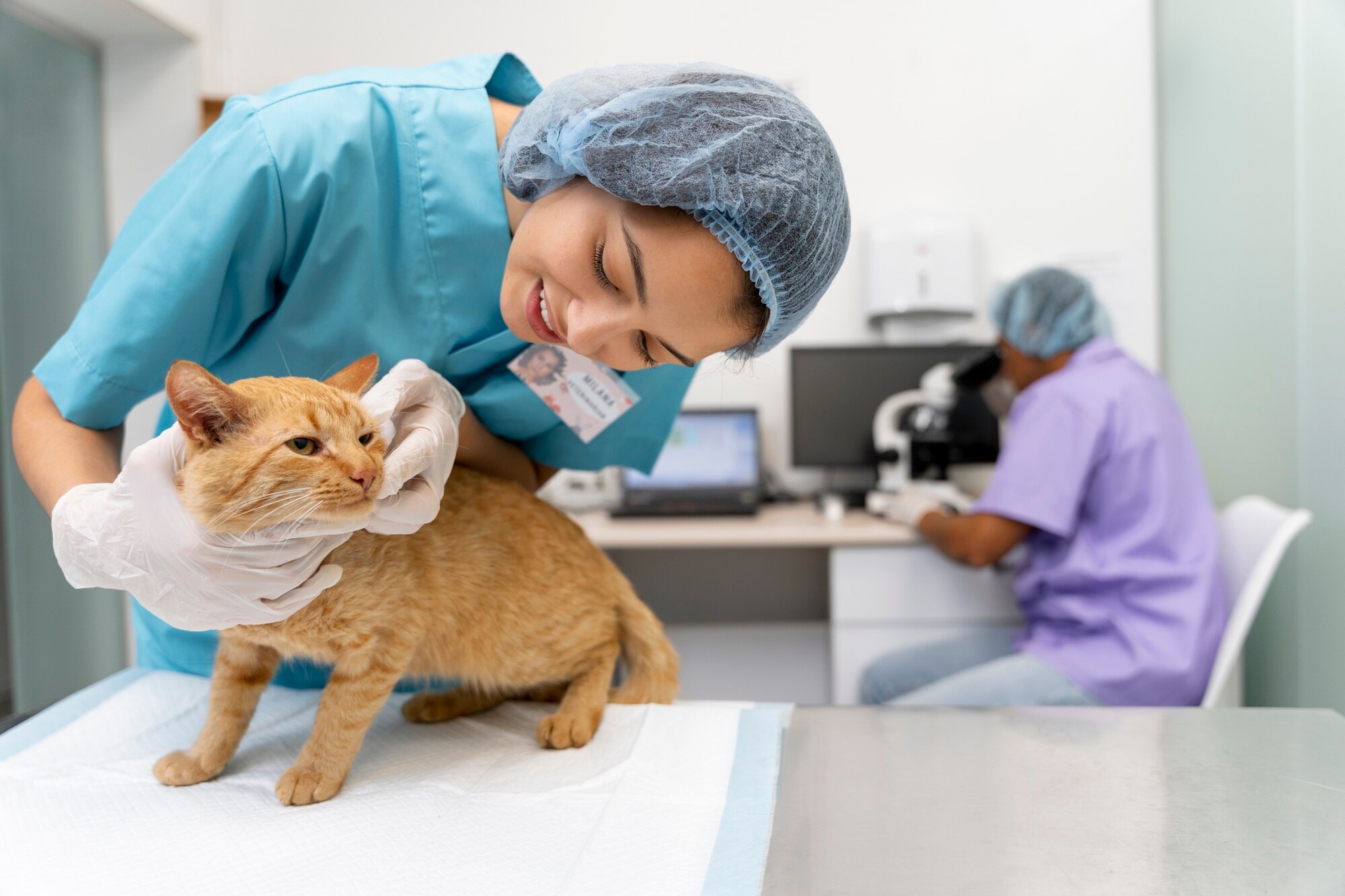 Como tornar sua clínica veterinária mais lucrativa: estratégias práticas e eficientes