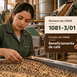 CNAE 1081-3/01 Beneficiamento de Café: Guia para Abrir e Tributar