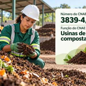 CNAE 3839-4/01 Usinas de Compostagem: Guia para Abrir e Tributar