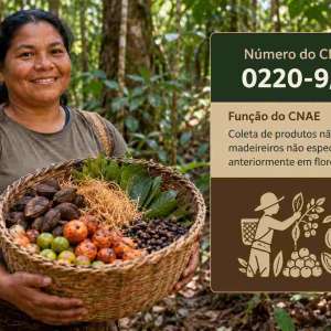 CNAE 0220-9/99 Coleta de Produtos Não Madeireiros em Florestas Nativas: Guia para Abrir e Tributar