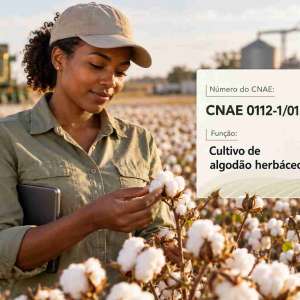 CNAE 0112-1/01 Cultivo de Algodão Herbáceo: Guia para Abrir e Tributar