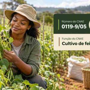CNAE 0119-9/05 Cultivo de Feijão: Guia para Abrir e Tributar