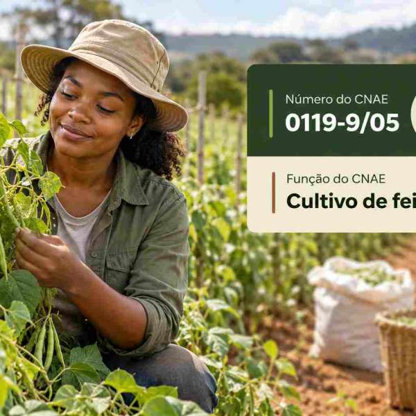 Lavoura de feijão com vagens secas prontas para colheita, ilustrando o CNAE 0119-9/05