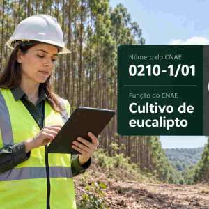 CNAE 0210-1/01 Cultivo de Eucalipto: Guia para Abrir e Tributar