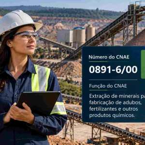 CNAE 0891-6/00 Extração de Minerais para Fabricação de Adubos, Fertilizantes e Outros Produtos Químicos: Guia para Abrir e Tributar