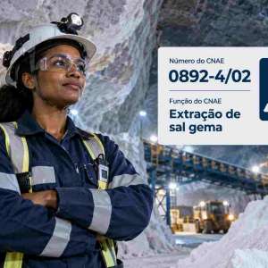 CNAE 0892-4/02 Extração de Sal-Gema: Guia para Abrir e Tributar