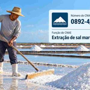 CNAE 0892-4/01 Extração de Sal Marinho: Guia para Abrir e Tributar