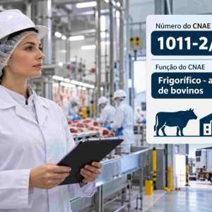 CNAE 1011-2/01 Frigorífico: Abate de Bovinos: Guia para Abrir e Tributar