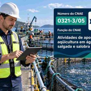 CNAE 0321-3/05 Atividades de Apoio à Aquicultura em Água Salgada e Salobra: Guia para Abrir e Tributar