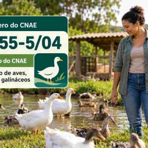 CNAE 0155-5/04 Criação de Aves, Exceto Galináceos: Guia para Abrir e Tributar