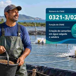CNAE 0321-3/02 Criação de Camarões em Água Salgada e Salobra: Guia para Abrir e Tributar
