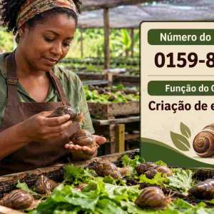 CNAE 0159-8/03 Criação de Escargô: Guia para Abrir e Tributar