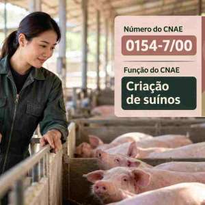 CNAE 0154-7/00 Criação de Suínos: Guia para Abrir e Tributar
