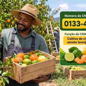 CNAE 0133-4/04 Cultivo de Cítricos, Exceto Laranja: Guia para Abrir e Tributar