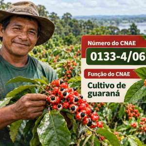 CNAE 0133-4/06 Cultivo de Guaraná: Guia para Abrir e Tributar