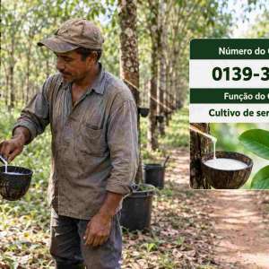 CNAE 0139-3/06 Cultivo de Seringueira: Guia para Abrir e Tributar