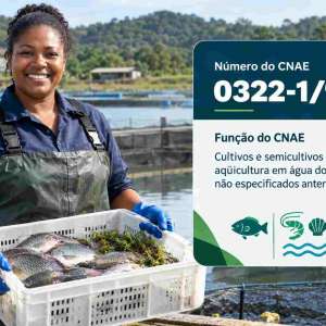 CNAE 0322-1/99 Cultivos e Semicultivos da Aquicultura em Água Doce: Guia para Abrir e Tributar