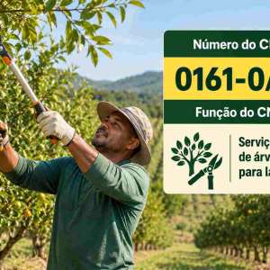 CNAE 0161-0/02 Serviço de Poda de Árvores para Lavouras: Guia para Abrir e Tributar