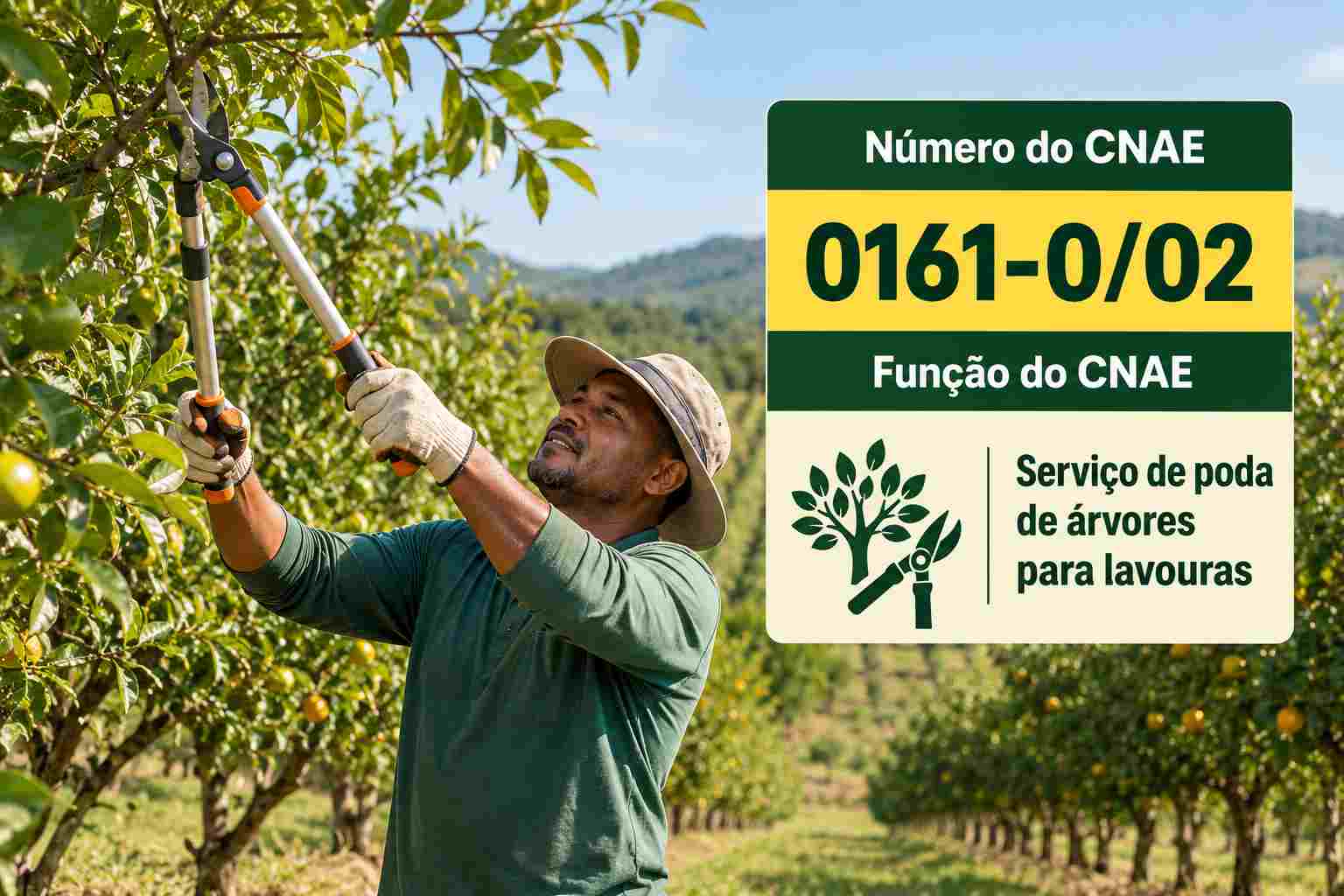 Podador trabalhando em parreira no inverno, ilustrando o CNAE 0161-0/02