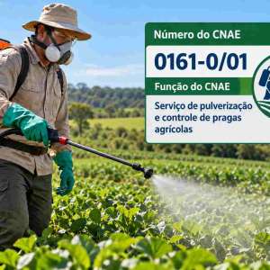 CNAE 0161-0/01 Serviço de Pulverização e Controle de Pragas Agrícolas: Guia para Abrir e Tributar